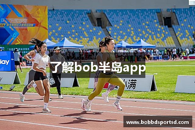 了解bob半岛app